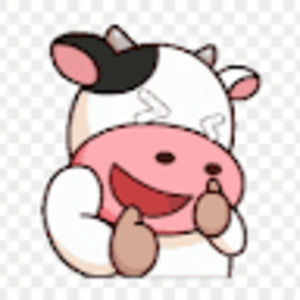 Meet your Posher, Bea